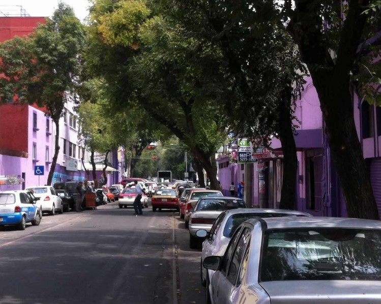 La calle Violeta, un camino que hace justicia a su nombre