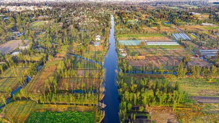 Datos esenciales del Parque Ecológico de Xochimilco