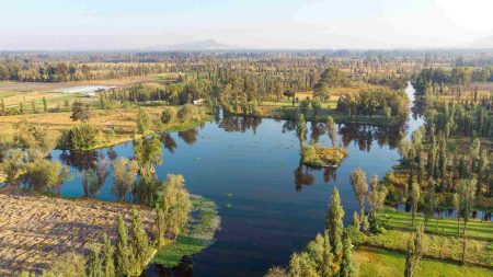 Conoce lagunas, canales, recorridos y embarcaderos secretos de Xochimilco