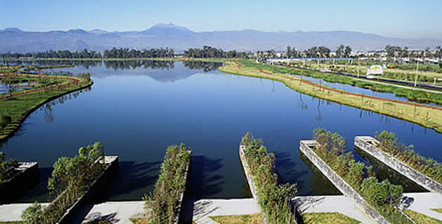 Lugares ocultos y extraordinarios para recorrer en un día en Xochimilco