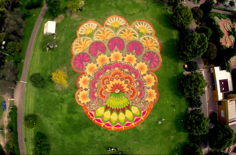 La Feria de las Flores en Xochitla, tendrá una alfombra de 2,700 metros de flores