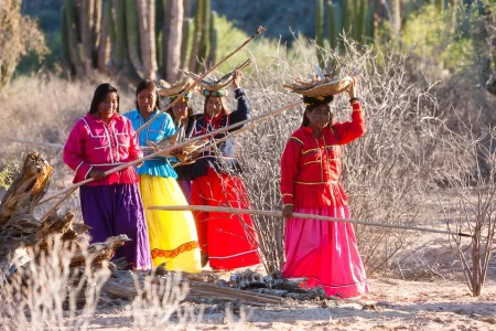 Los 8 pueblos yaqui, preservación, cultura y gobierno del desierto