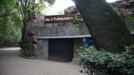 Nocturnario, el nuevo e increíble espacio gratuito de Chapultepec