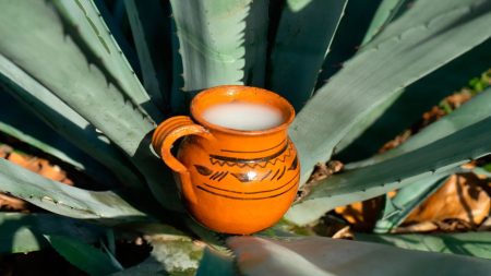 Elaboración del pulque es declarado Patrimonio Cultural Inmaterial de la CDMX