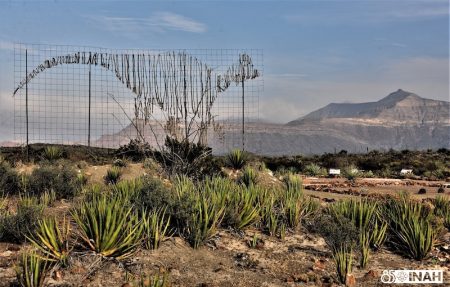 Rincón Colorado: la única zona paleontológica en México abierta al público