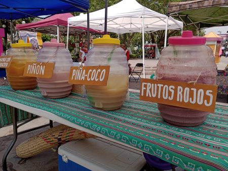 Hidalgo es la sede del Festival de pulque más grande de México