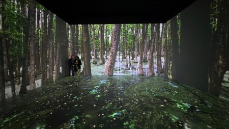 One World, One Chance, en CDMX: Una experiencia inmersiva para concientizar sobre la naturaleza