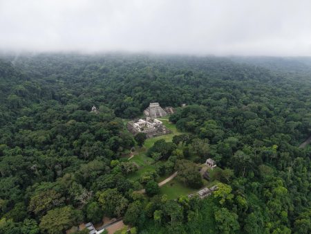 Así será el nuevo Parque Ecoturístico La Ceiba en Palenque, Chiapas