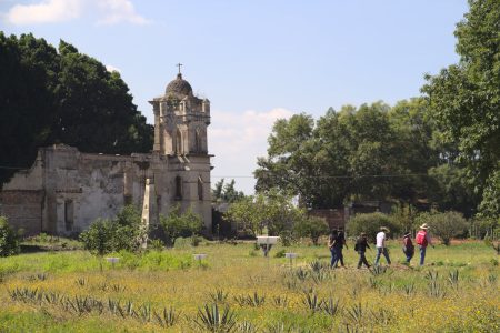 Ruta del mezcal en Michoacán: tradición, cultura y gastronomía