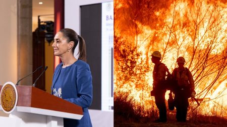 Bomberos mexicanos cruzan la frontera para combatir incendios en Los Ángeles