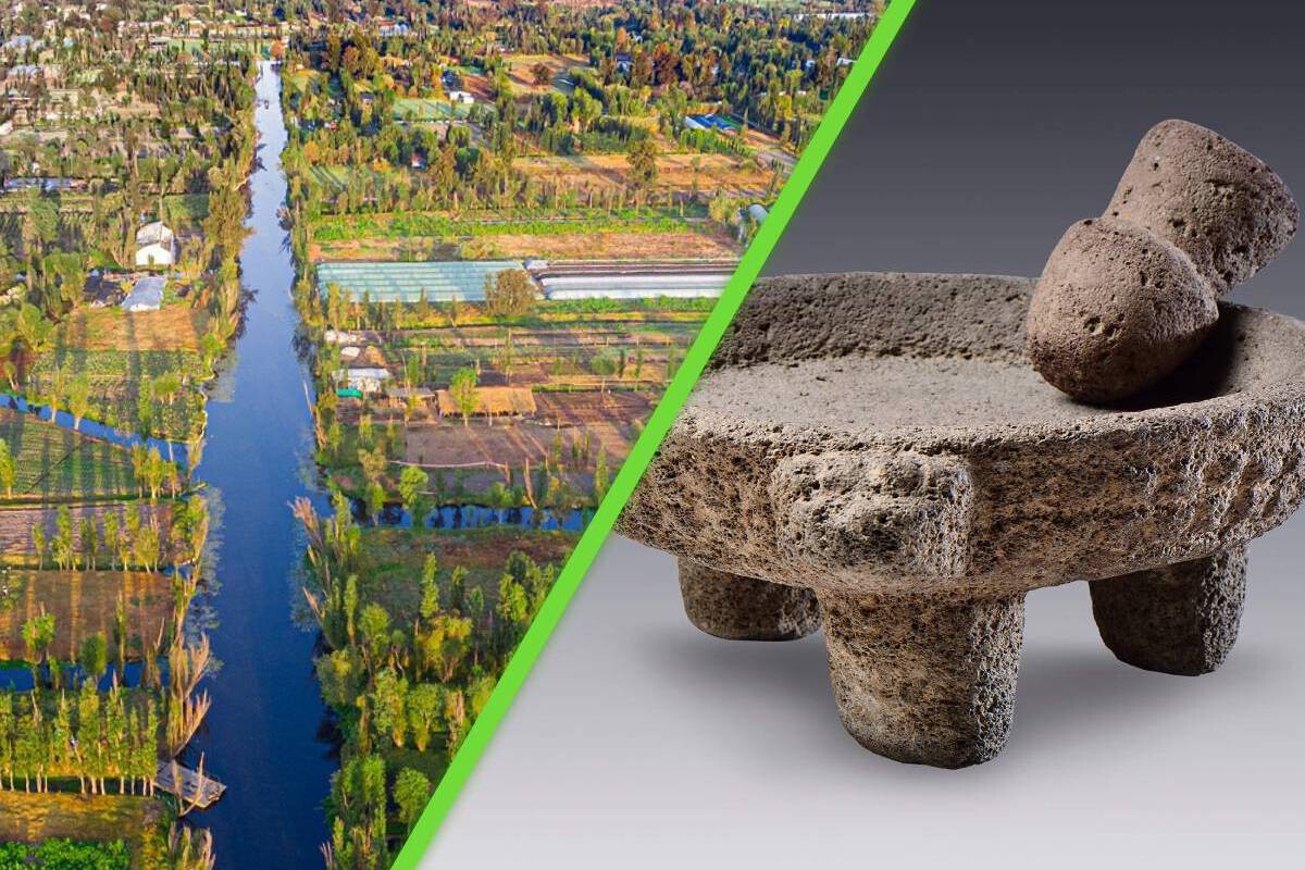 Un descubrimiento de artefactos con más de 6,000 años en Xochimilco, revelan el origen de la agricultura en México