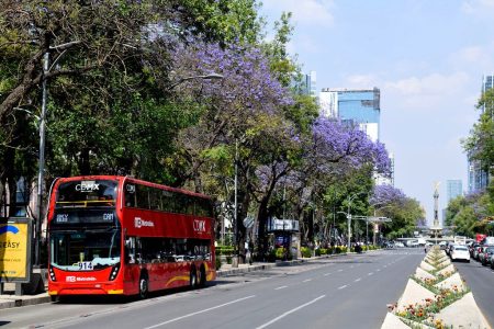 Centrobús, el nuevo medio de transporte público en la CDMX