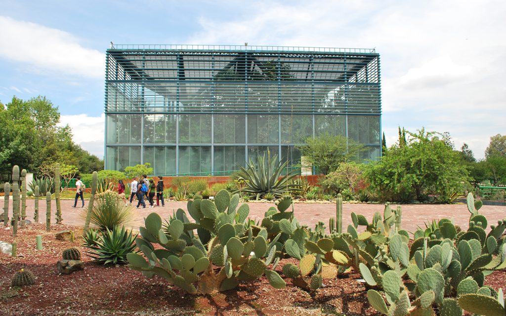 Parque Bicentenario será un espacio público; se cancela su concesión después de accidente
