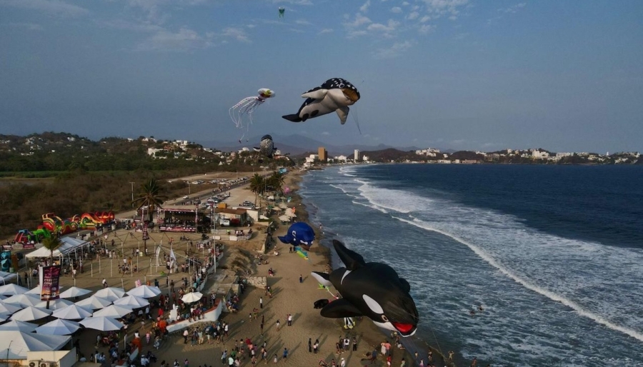 Así es el alucinante Festival Costero del Papalote en Manzanillo