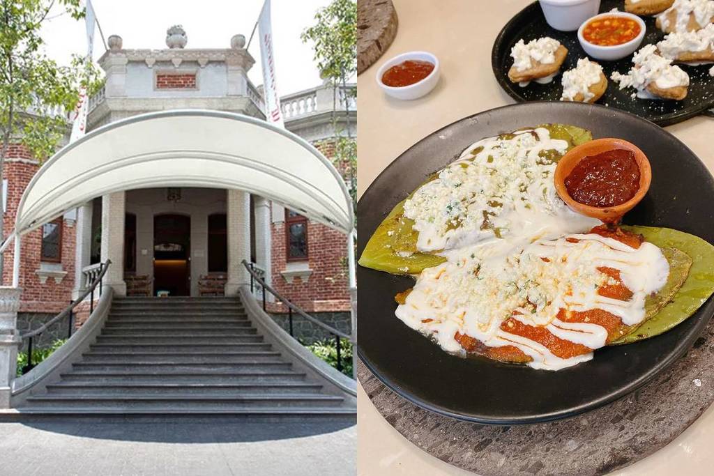 Reino Vegetal, un festival gastronómico con platillos hechos a base cactáceas