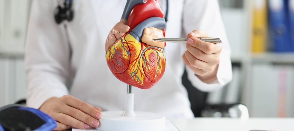 Crean el primer corazón artificial mexicano, un hito científico-médico en Latinoamérica