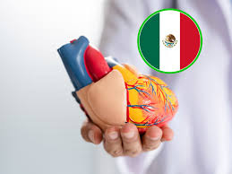 Crean el primer corazón artificial mexicano, un hito científico-médico en Latinoamérica