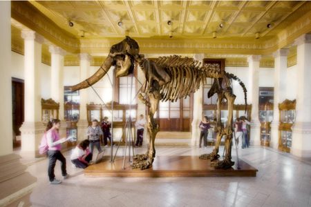 Estos son los Paseos Culturales gratuitos que el INAH tiene en agosto