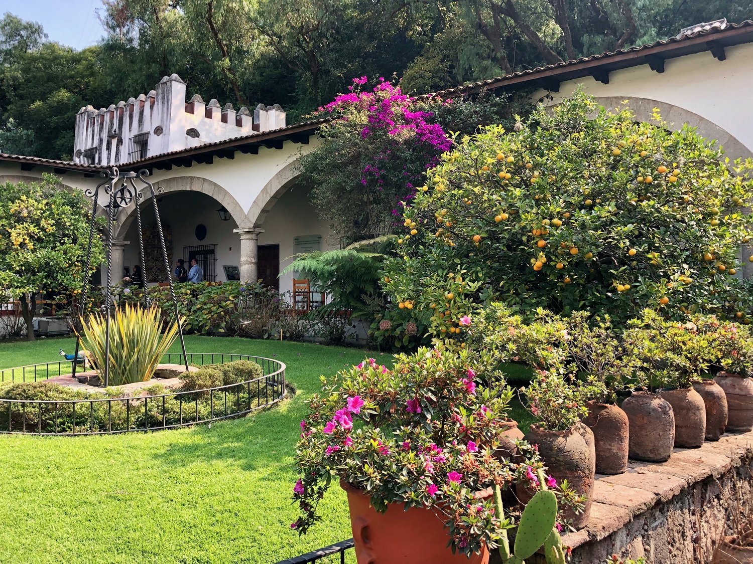 Finalmente, el Museo Dolores Olmedo reabrirá sus puertas