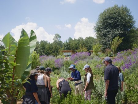 Tierra Jiasú: un paraíso de renacimiento interior y comunal en medio del bosque
