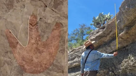 Descubren huellas de dinosaurio en Valle de Tehuacán, Puebla