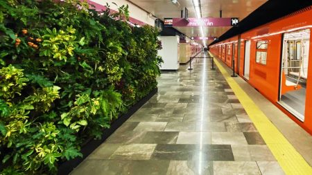 Muros verdes en el Metro de CDMX: adornarán espacios públicos subterráneos