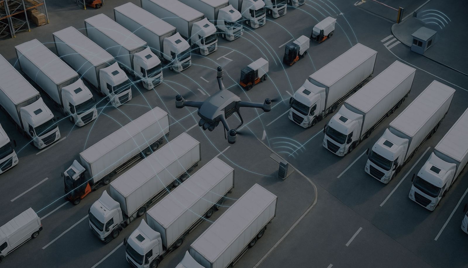 Digilogics: 16 años en México convirtiendo datos en decisiones inteligentes