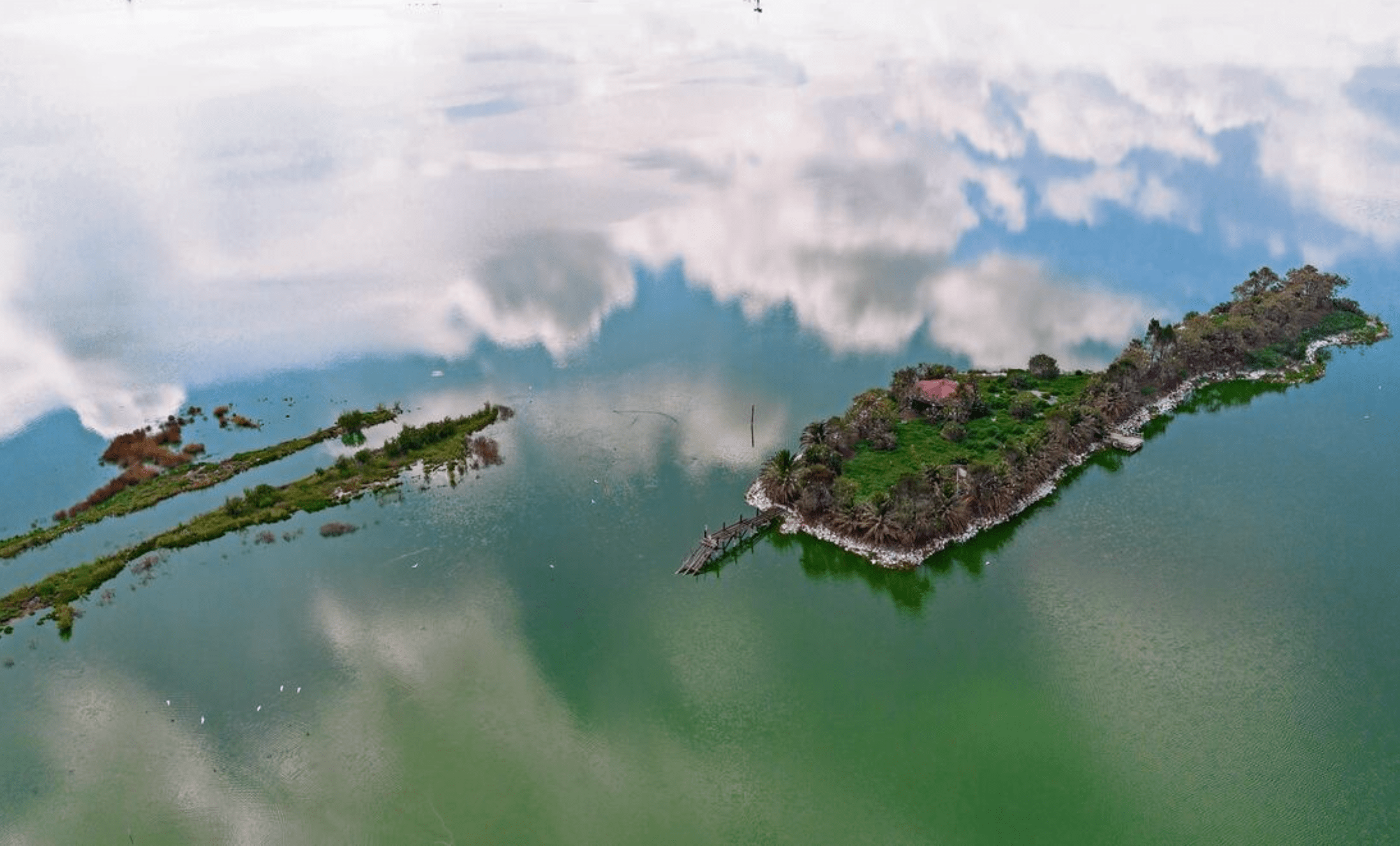 La asombrosa recuperación del Lago de Texcoco entierra los restos del megaaeropuerto