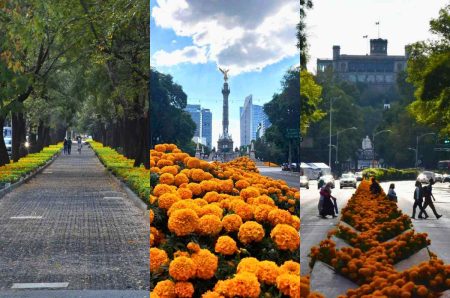 El Festival de Cempasúchil regresó a CDMX con todo para las ofrendas de Día de Muertos