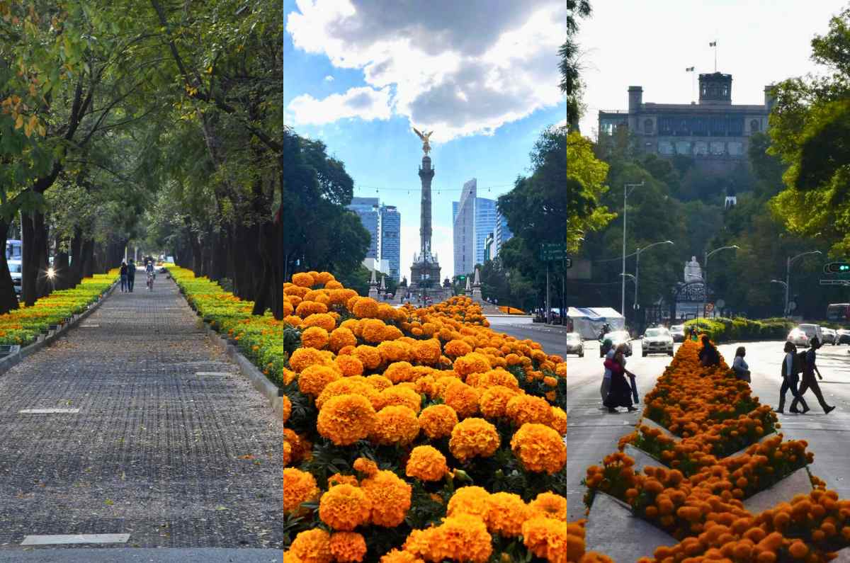 El Festival de Cempasúchil regresó a CDMX con todo para las ofrendas de Día de Muertos