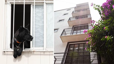 Ya no podrán negar rentar por tener niños o mascotas en CDMX