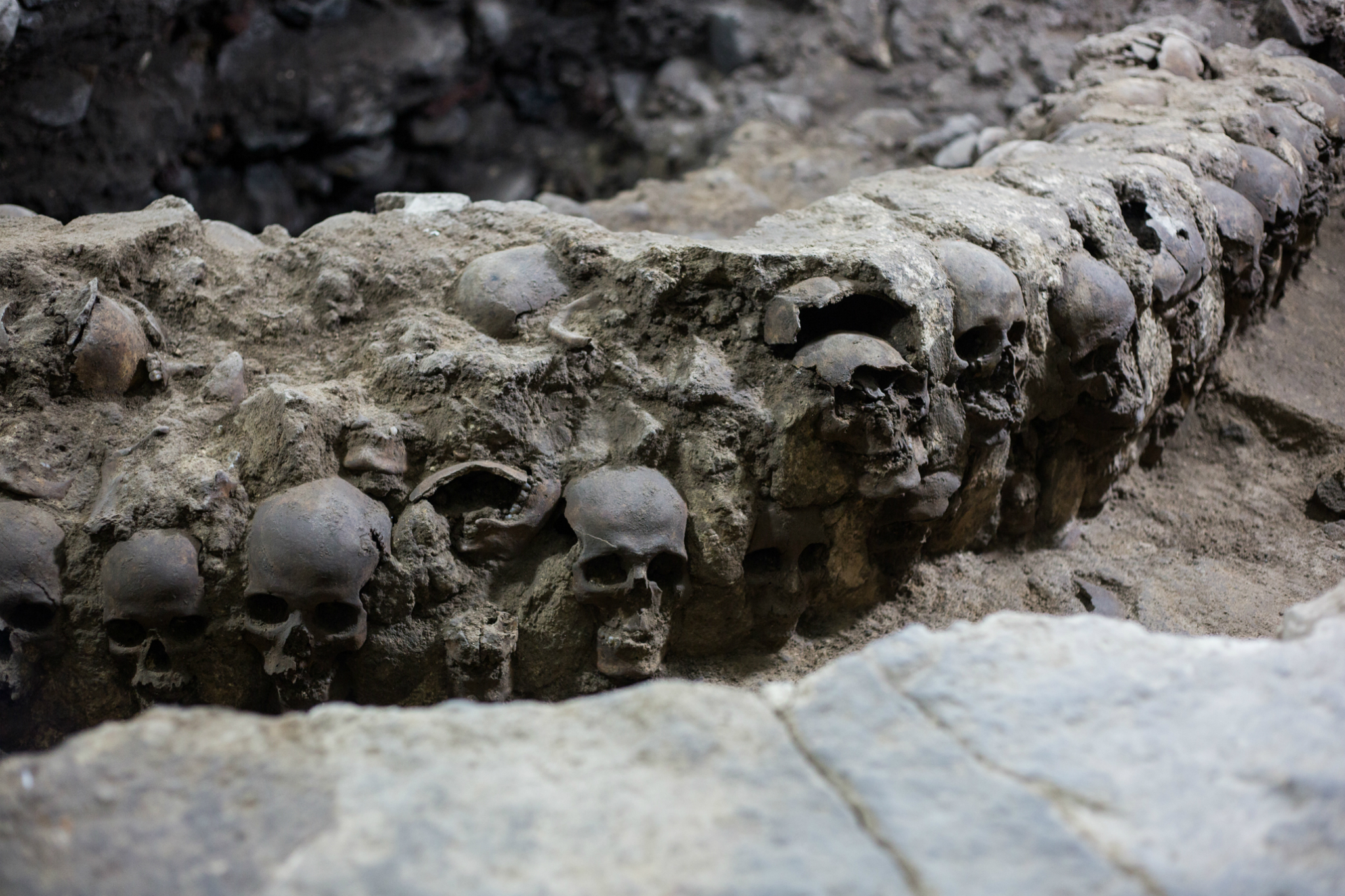 Revelan datos del Huei Tzompantli hallado al remodelar una casa en CDMX