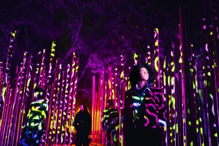 Estas son las exposiciones en noviembre que no te puedes perder en la CDMX