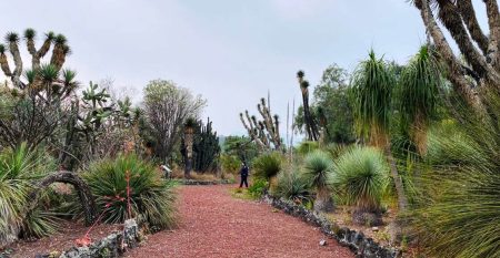 Estos son los Paseos Culturales en CDMX gratuitos que habrá en noviembre