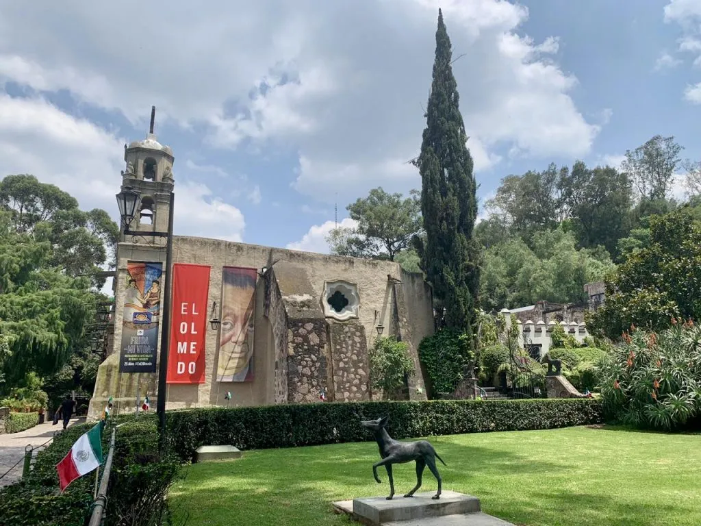 ¿Qué ha pasado con la nueva sede del Museo Dolores Olmedo en Chapultepec?