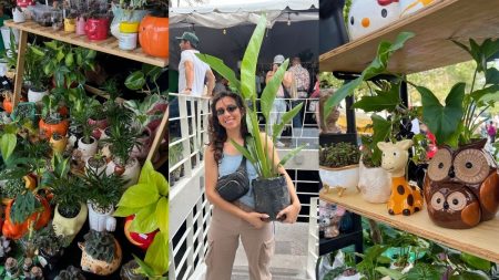 Plant Fest 2026, el festival que nos recuerda que las plantas nos hacen felices