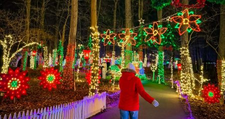 Christmas Lights, una nueva experiencia inmersiva de luces en Parque Naucalli