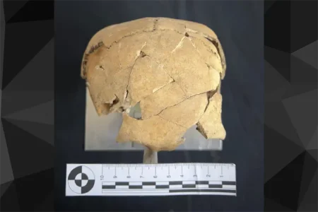 Descubren enigmático cráneo “cúbico” en Tamaulipas que sorprende a la arqueología mexicana