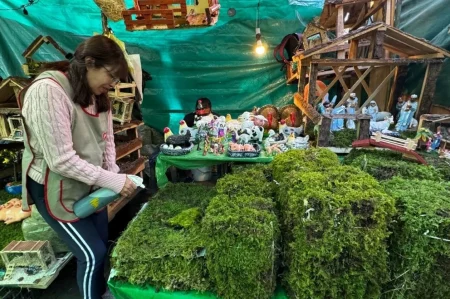 Musgo y heno: el impacto ambiental de la decoración del Nacimiento