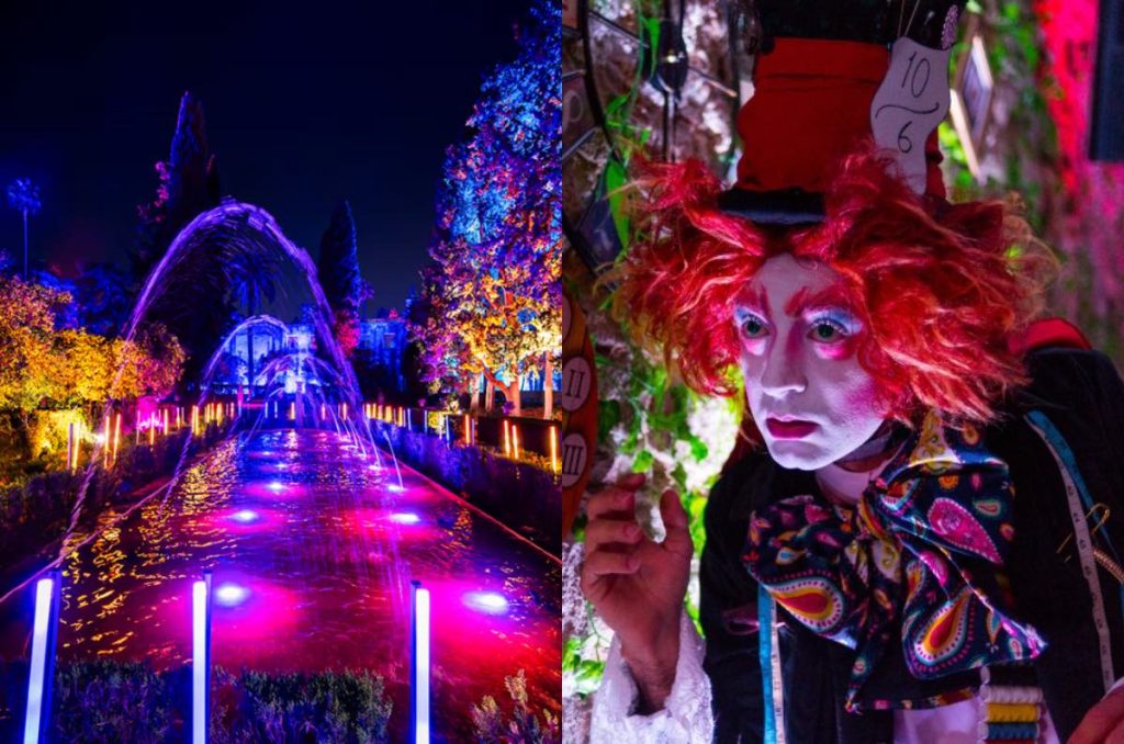 Alicia en el País de las Maravillas ilumina CDMX: una experiencia sensorial inmersiva