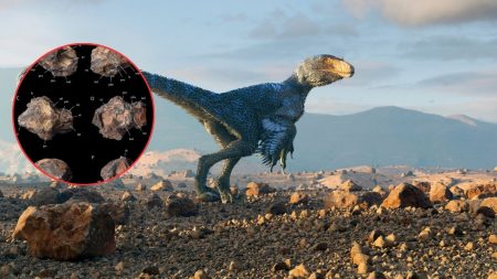 Descubren nueva especie de dinosaurio que habitó en México hace 74 millones de años