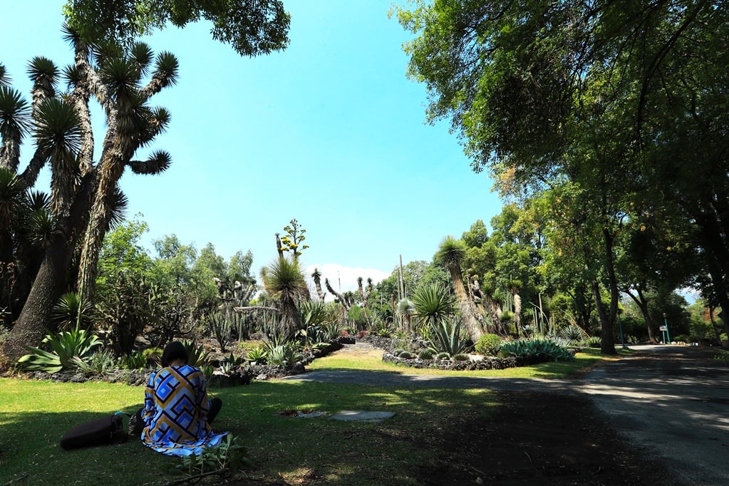 San Valentín en el Jardín Botánico de la UNAM: un paseo entre aromas y amor