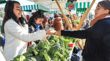 Intercambiar en 2026: el Mercado del Trueque llega a la CDMX