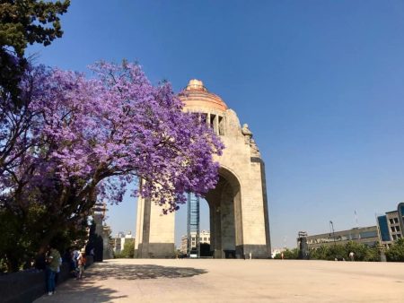 Monumento a la Revolución estrena Festival de Flores y Chocolate para San Valentín