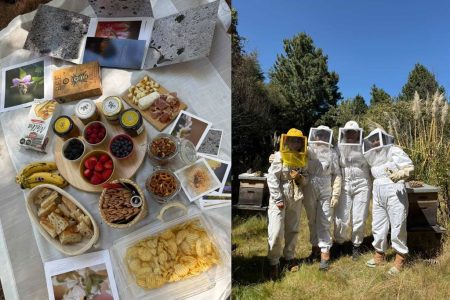 Mielosa en CDMX: Experiencias apícolas, picnics y cata de miel artesanal