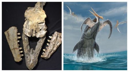 Cipactli renace: descubren en Coahuila un depredador marino de hace 70 millones de años