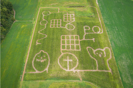 ¿Por qué nos gusta observar procesos aleatorios?