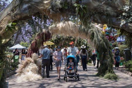 FYJA 2026, Polanco se transforma con jardines, diseño floral y paisajes