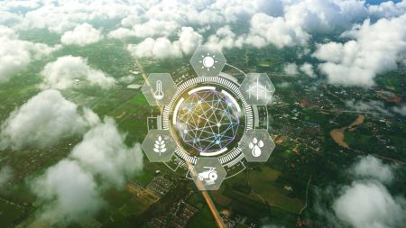 El medioambiente al alcance de todos: cómo seguir los cambios ecológicos en tiempo real