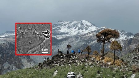 Descubren “osito de agua” con forma de estrella en el Iztaccíhuatl